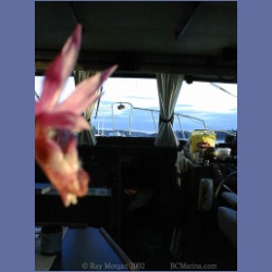200X_120_Conover_Cove_Wallace_Island.html