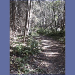 200X_196_Conover_Cove.html