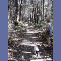 200X_197_Conover_Cove.html