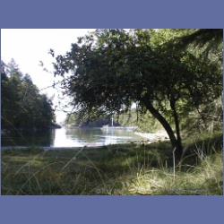 200X_198_Conover_Cove.html