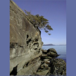 200X_199_Wallace_Island.html
