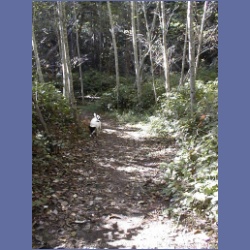 200X_202_Wallace_Island.html