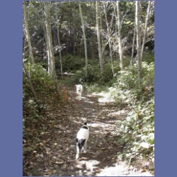 200X_203_Wallace_Island.html