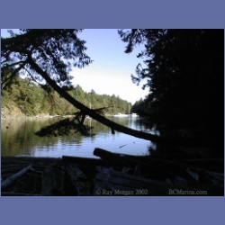 200X_205_Wallace_Island.html