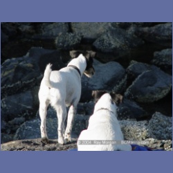 2004_6732_Watt_Bay_Kildidt_Sound.html
