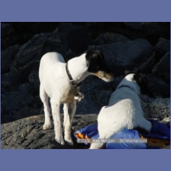 2004_6733_Watt_Bay_Kildidt_Sound.html