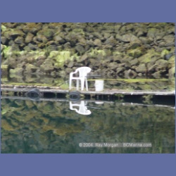 2004_6753_Watt_Bay_Kildidt_Sound.html