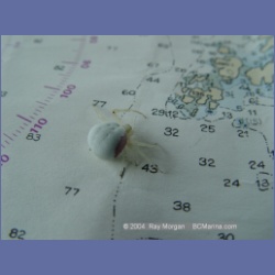 2004_6756_Watt_Bay_Kildidt_Sound.html