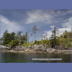 2003_4241_Weeteeam_Bay_Aristazabal_Island.html