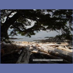 2003_4252_Weeteeam_Bay_Aristazabal_Island.html