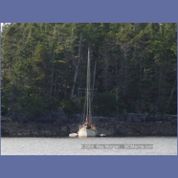 2003_4279_Weeteeam_Bay_Aristazabal_Island.html