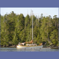 2003_4315_Weeteeam_Bay_Aristazabal_Island.html