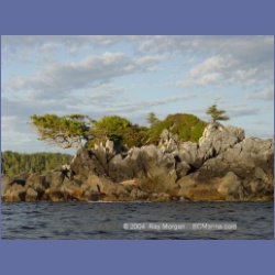 2003_4318_Weeteeam_Bay_Aristazabal_Island.html