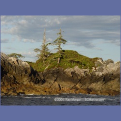 2003_4321_Weeteeam_Bay_Aristazabal_Island.html