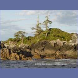 2003_4325_Weeteeam_Bay_Aristazabal_Island.html