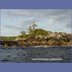 2003_4329_Weeteeam_Bay_Aristazabal_Island.html