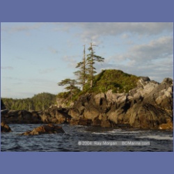 2003_4331_Weeteeam_Bay_Aristazabal_Island.html