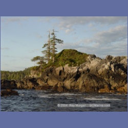 2003_4332_Weeteeam_Bay_Aristazabal_Island.html