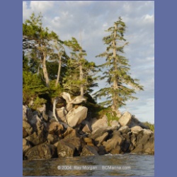 2003_4337_Weeteeam_Bay_Aristazabal_Island.html