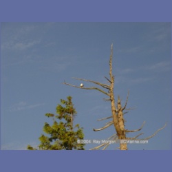 2003_4350_Weeteeam_Bay_Aristazabal_Island.html