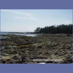 2004_7030_Weeteeam_Bay_Aristazabal_Island.html
