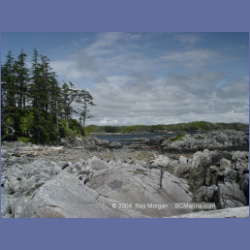 2004_7033_Weeteeam_Bay_Aristazabal_Island.html