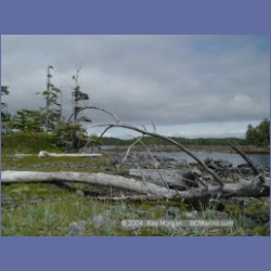 2004_7046_Weeteeam_Bay_Aristazabal_Island.html