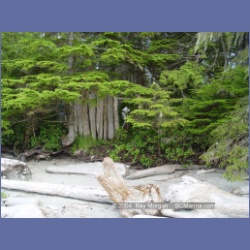 2004_7054_Weeteeam_Bay_Aristazabal_Island.html