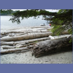 2004_7061_Weeteeam_Bay_Aristazabal_Island.html