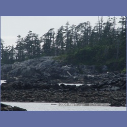 2004_7066_Weeteeam_Bay_Aristazabal_Island.html