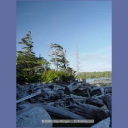 2004_7067_Weeteeam_Bay_Aristazabal_Island.html