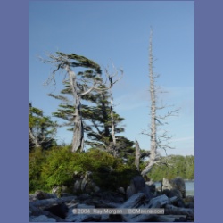 2004_7068_Weeteeam_Bay_Aristazabal_Island.html