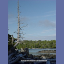2004_7069_Weeteeam_Bay_Aristazabal_Island.html