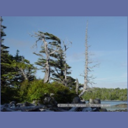 2004_7074_Weeteeam_Bay_Aristazabal_Island.html