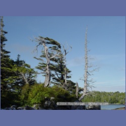 2004_7075_Weeteeam_Bay_Aristazabal_Island.html