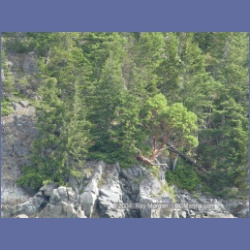 2003_4958_Wellbore_Channel_Last_Arbutus.html