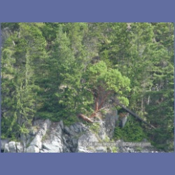 2003_4959_Wellbore_Channel_Last_Arbutus.html