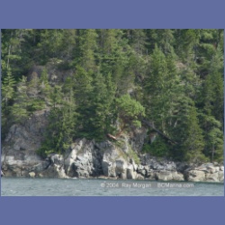 2003_4960_Wellbore_Channel_Last_Arbutus.html