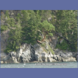 2003_4961_Wellbore_Channel_Last_Arbutus.html