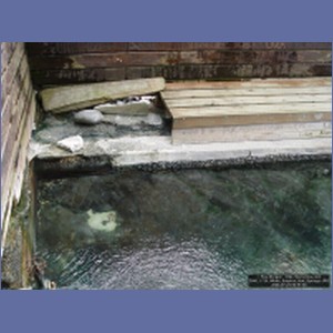 2006_1734_White_Sulphur_Hot_Springs.JPG