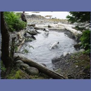 2006_1743_White_Sulphur_Hot_Springs.JPG