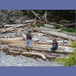2003_2621_Wiebe_Island_Barkley_Sound.html