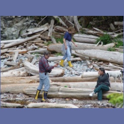 2003_2623_Wiebe_Island_Barkley_Sound.html