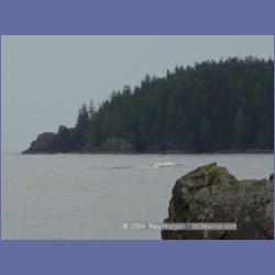 2003_2624_Wiebe_Island_Barkley_Sound.html