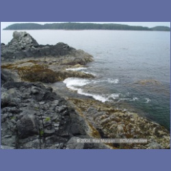 2003_2625_Wiebe_Island_Barkley_Sound.html