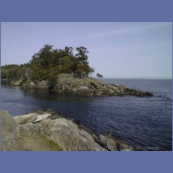 200X_061_Winter_Cove_Saturna_Island.html
