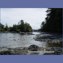 2003_2464_Wouwer_Island_Barkley_Sound.html