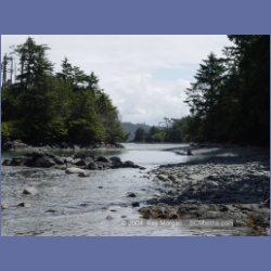 2003_2465_Wouwer_Island_Barkley_Sound.html