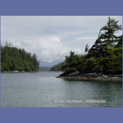 2003_2466_Wouwer_Island_Barkley_Sound.html