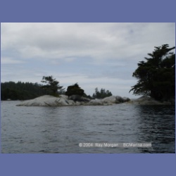 2003_2470_Wouwer_Island_Barkley_Sound.html